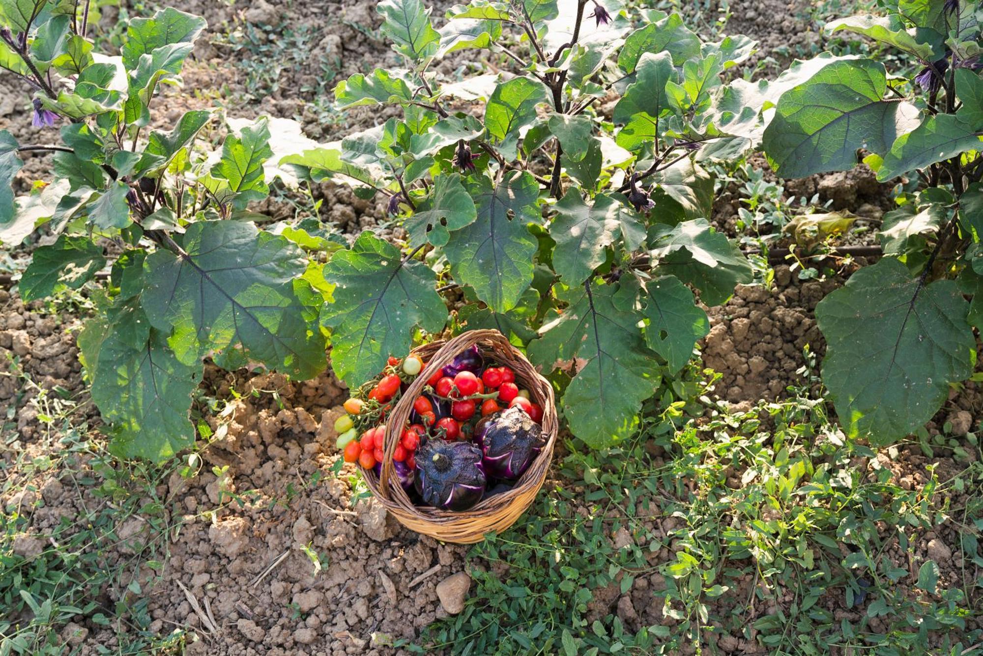 فندق Neroli Bio Relais La Rotondella المظهر الخارجي الصورة